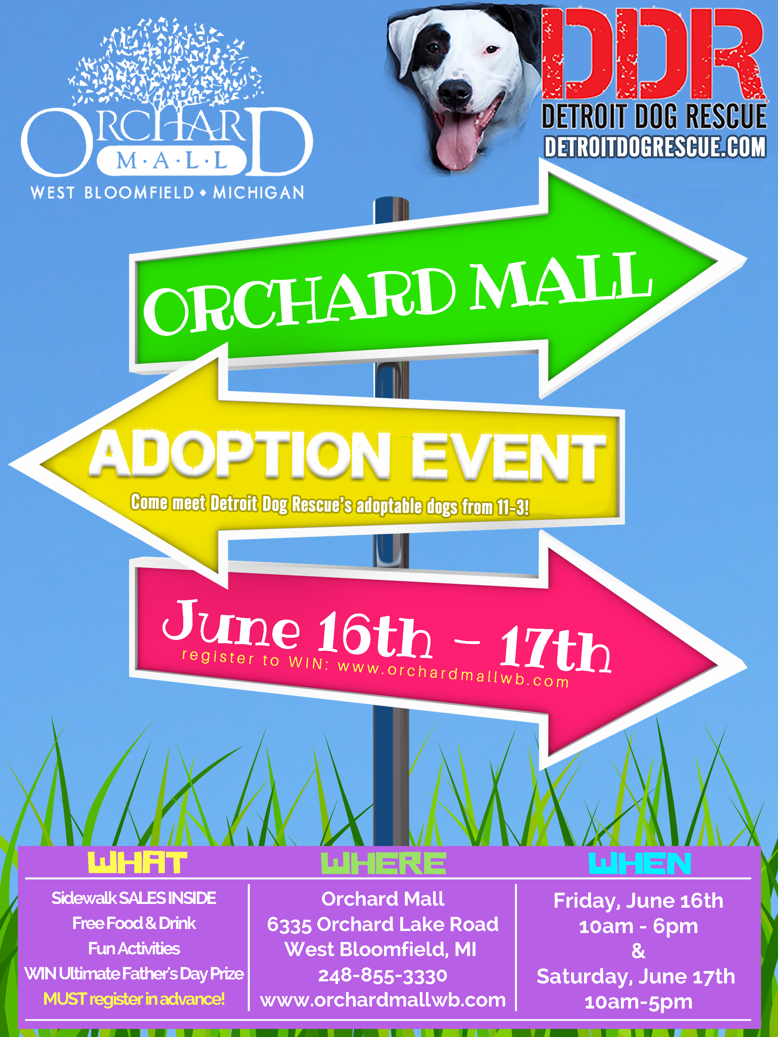 Detroit Dog Rescue Adoption Event