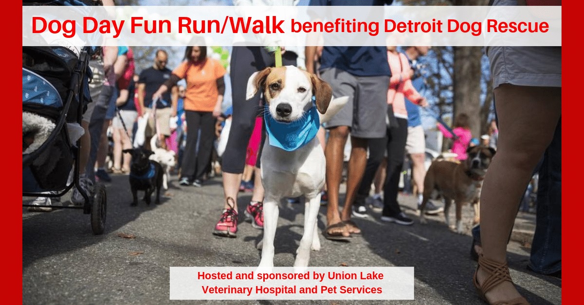 Dog Day Fun Run Walk Detroit Dog Rescue