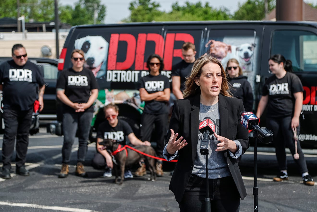 Detroit Dog Rescue calls for change to city’s treatment of animals