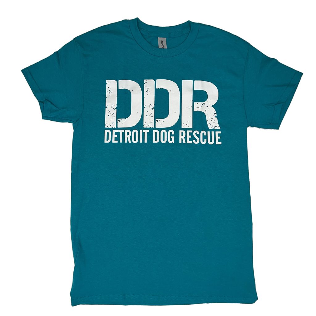 Classic Tee Teal Detroit Dog Rescue