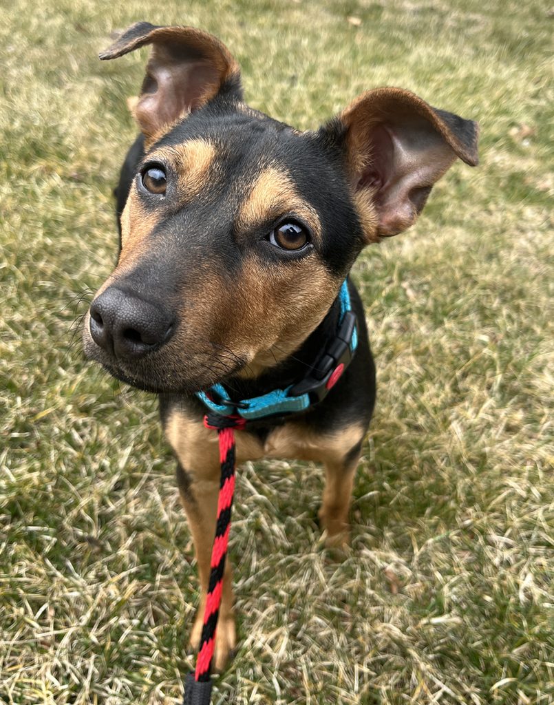 maggie_04