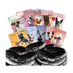 Valentine's Day Cards